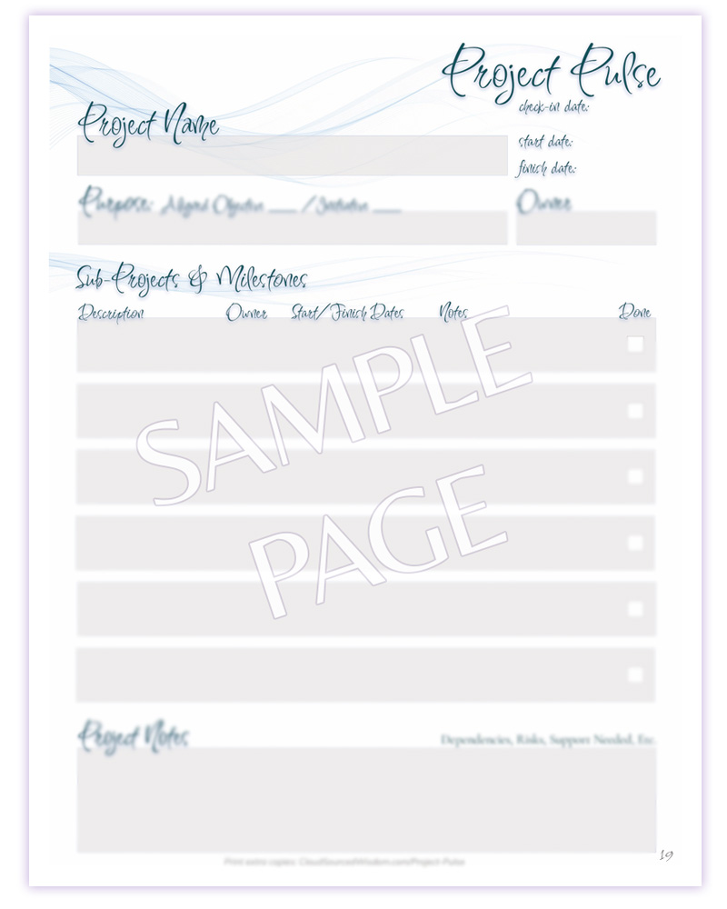 Cloud Sourced Strategy Scrollbook - Page 19 Project Pulse SAMPLE